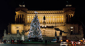 Piazza Veniezia Christmas Tree