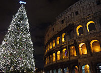 Rom i jul Colosseum