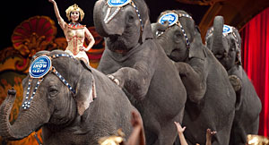 The Golden Circus in Rome
